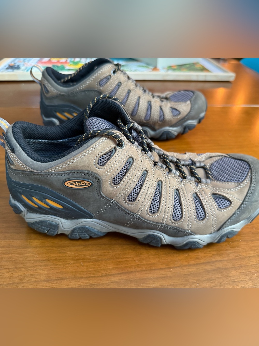 Oboz BDry Sawtooth II Men’s low hiking shoes, size 12